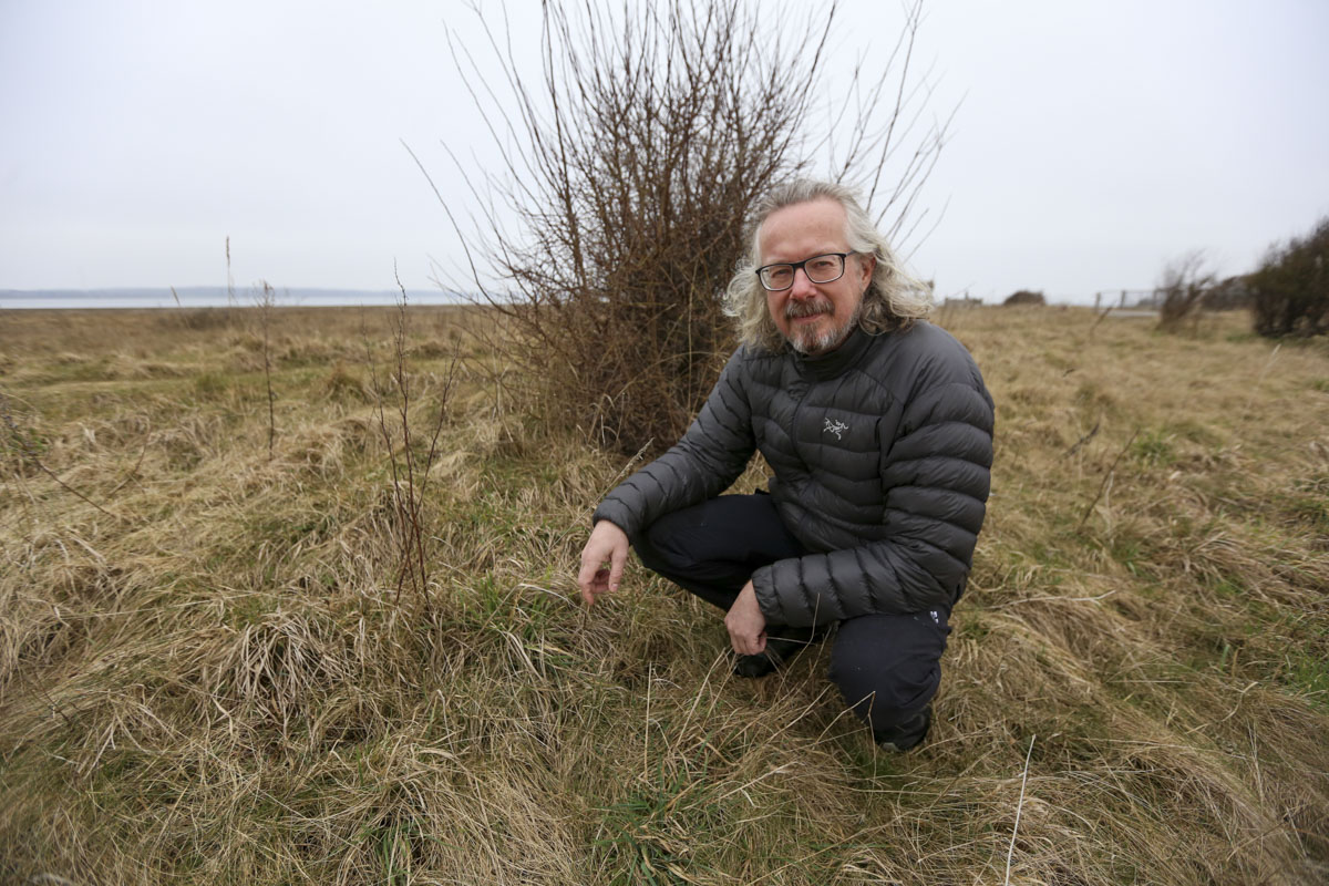 Foråret er her - og hugormen er vågen