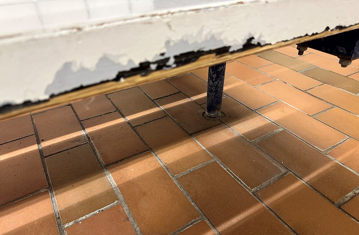 Udvalgsformand: Svømmehal er slidt