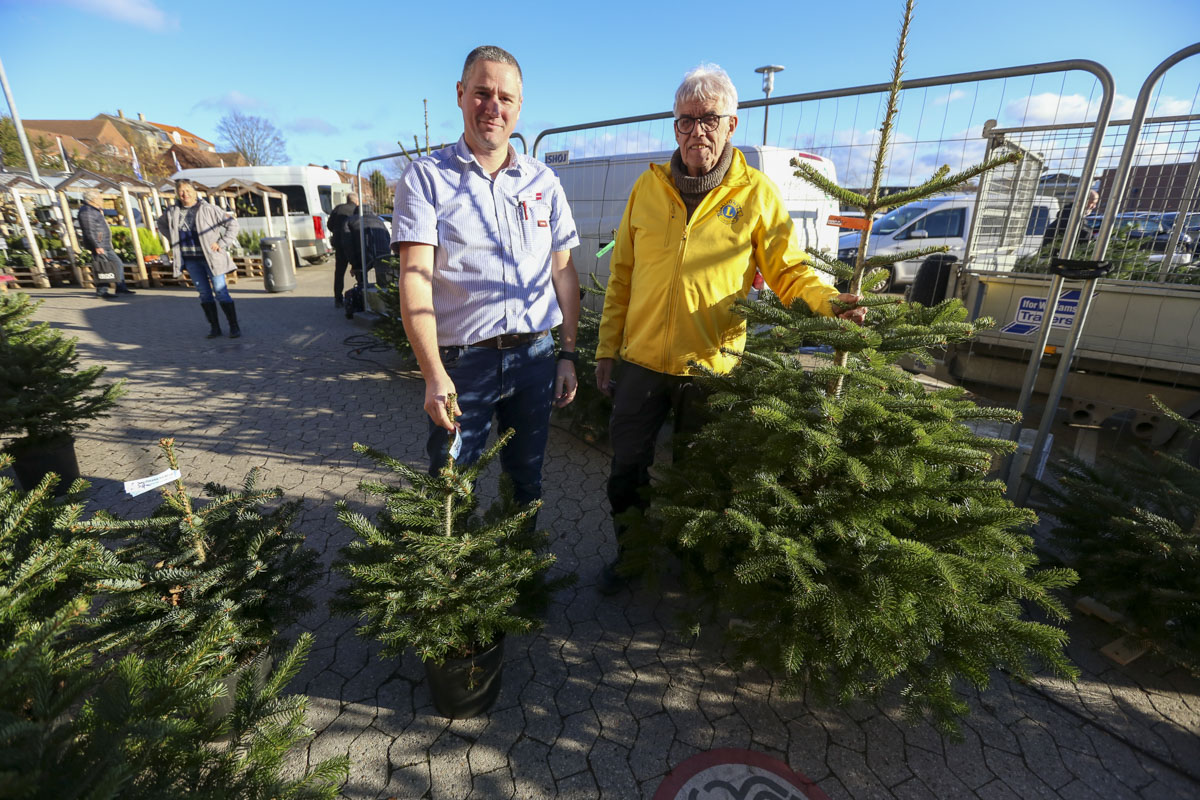 Lions tyvstartede juletræssalget fredag