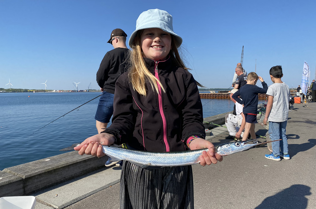 Hornfiskefestival samler lystfiskere i Kalundborg