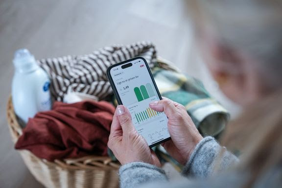  Dyreste januar i flere år: Vinterkulden presser elprisen højt op