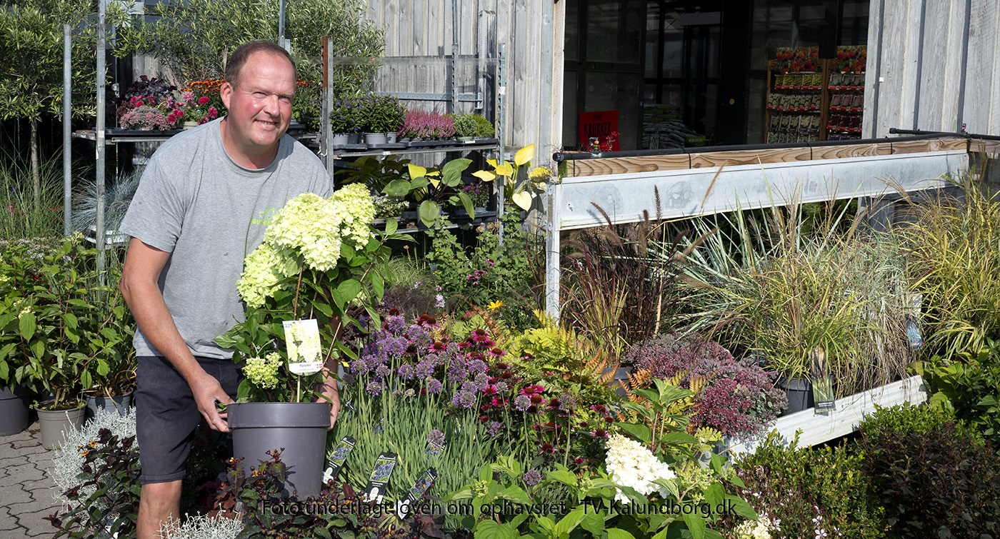 Sensommervejr kulminerer med Havens Dag