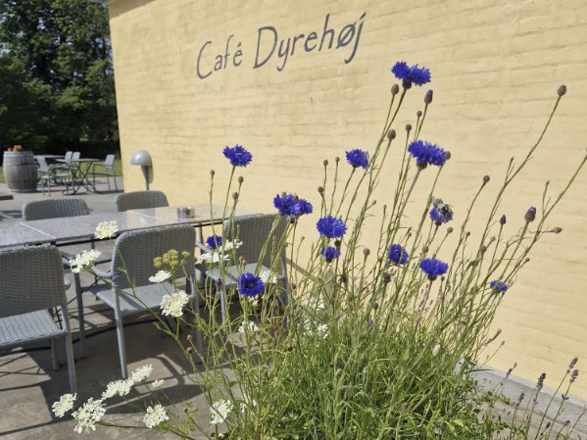  Cafe Dyrehøj byder på påskearrangementer