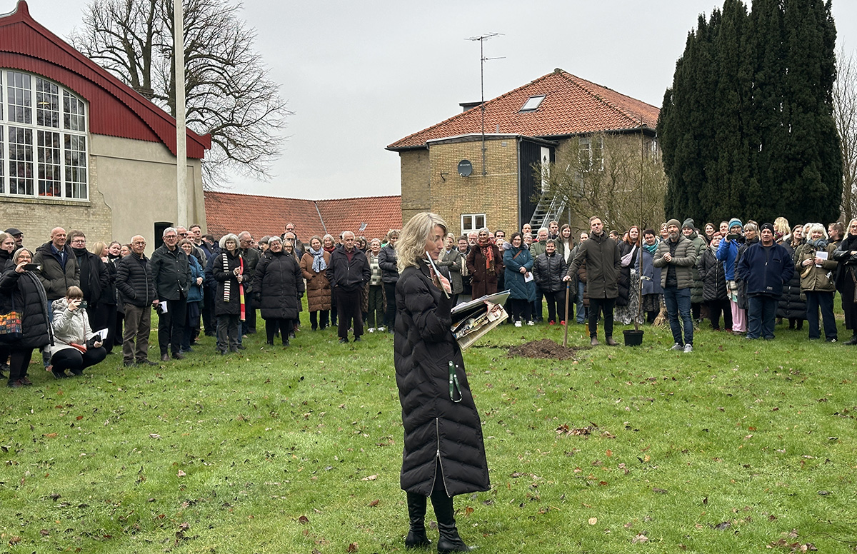 En helt uperfekt perfekt dag