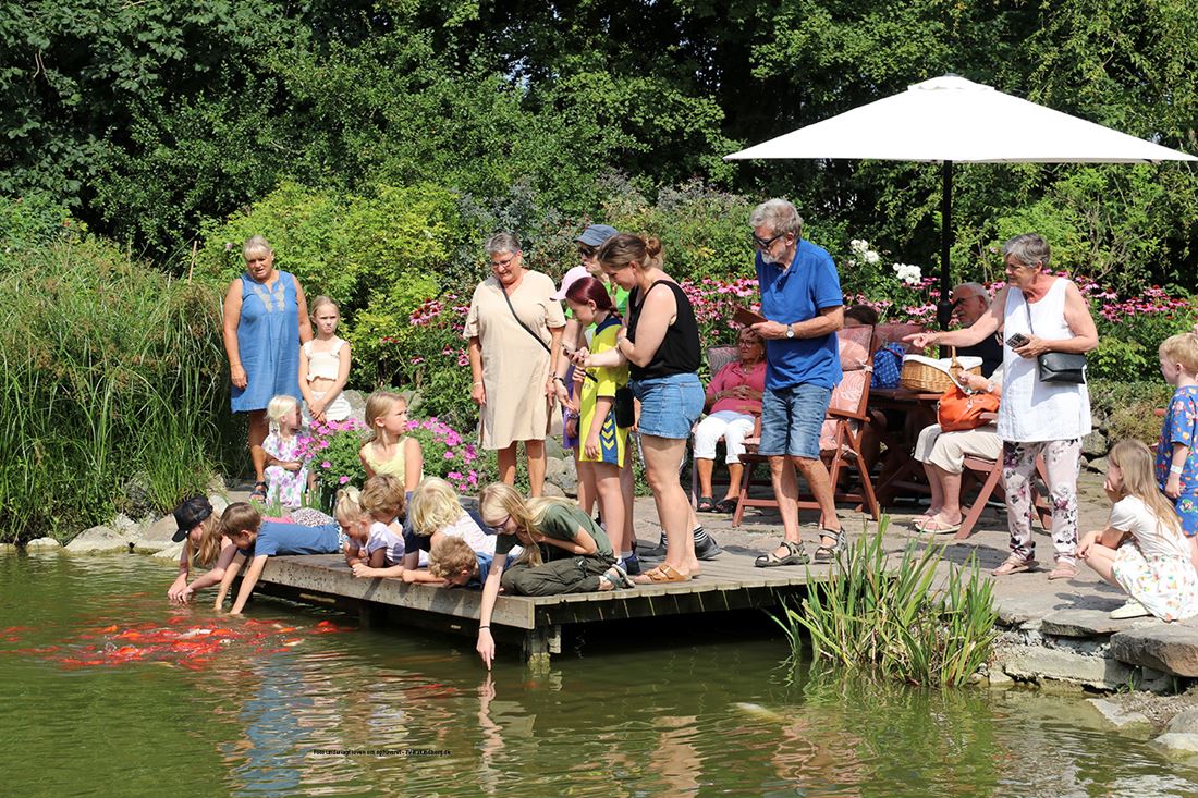 Birkegårdens Haver åbner på lørdag