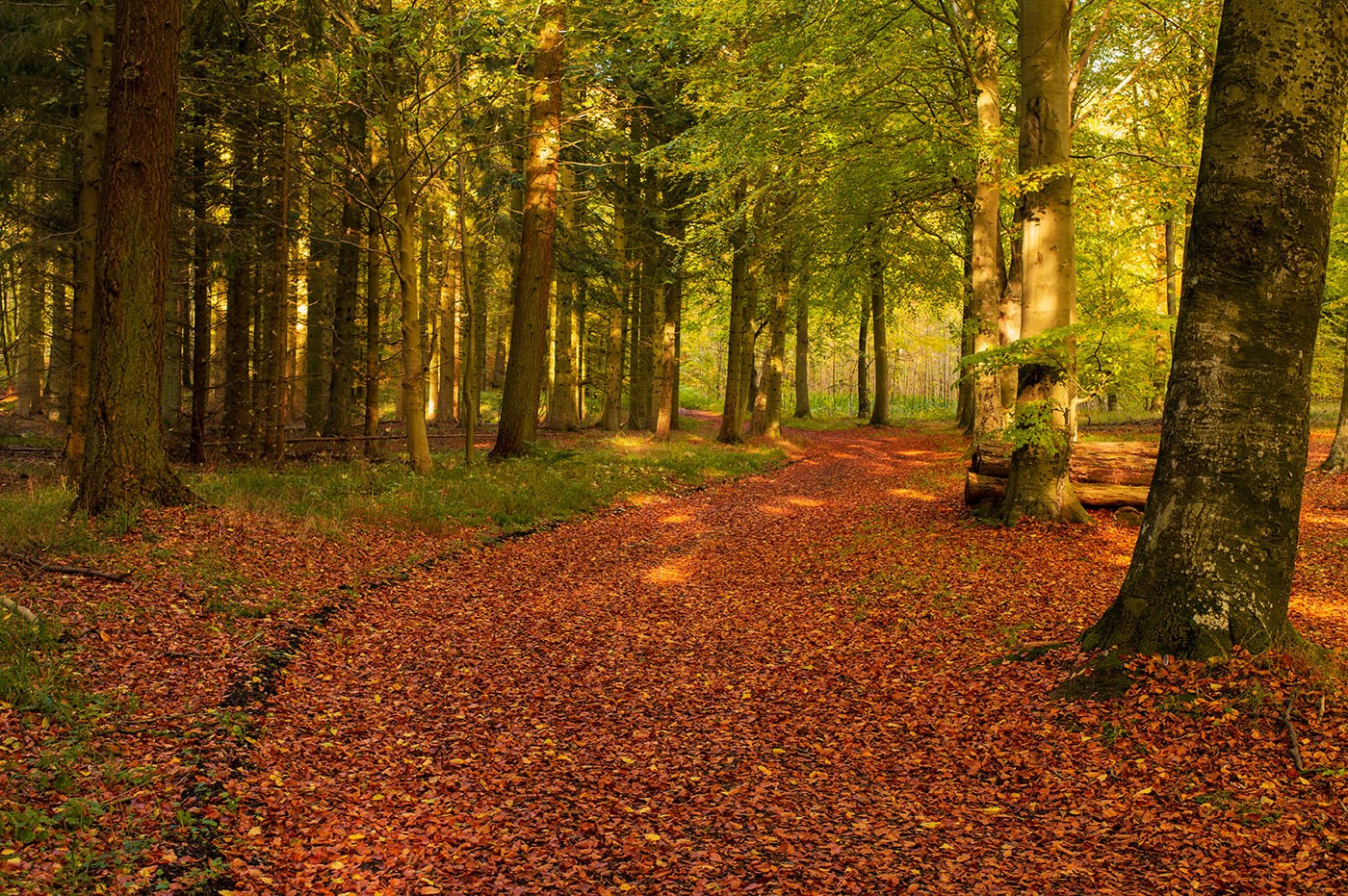 Asnæs-halvøen solgt: Nyt nationalt naturinitiativ på vej