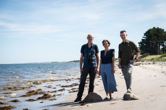 Næsten 10 mio. kr. skal genskabe stenrev i Sejerø Bugt