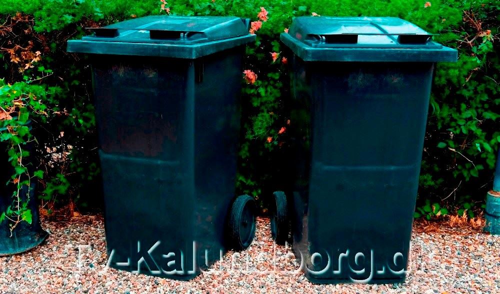 Få en skraldestjerne - hvis du sorterer rigtigt