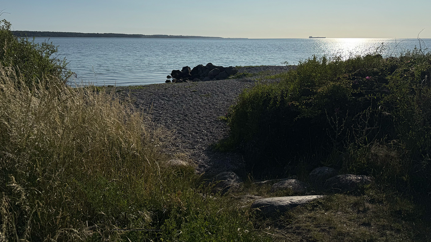 Et havmiljø i krise: Vær med til at plante ålegræs