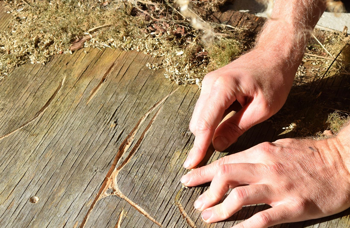 Fernisering og udstilling i Havnsø i efterårsferien