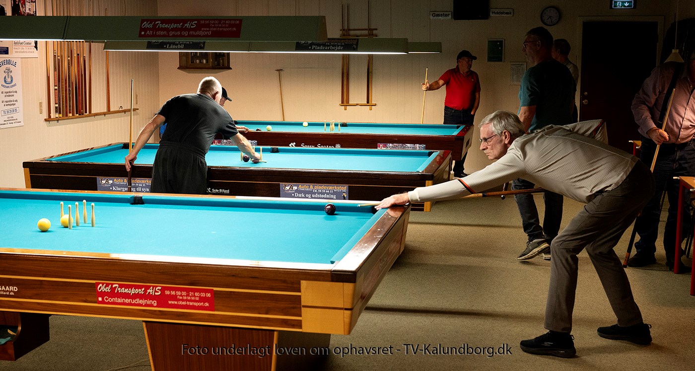 50 år med køer, kridt, kugler og godt humør