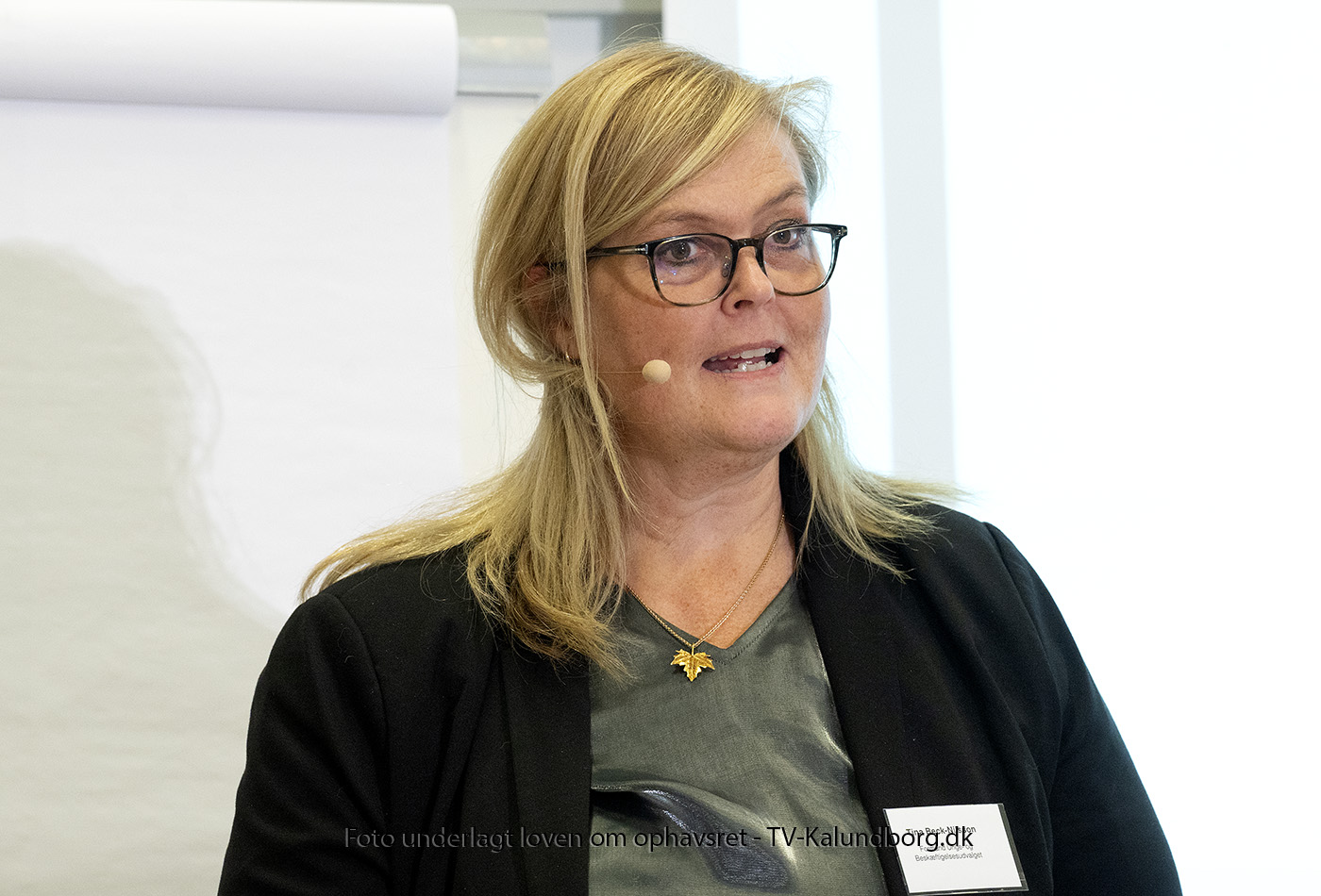 Oppositionen klar med tre forslag