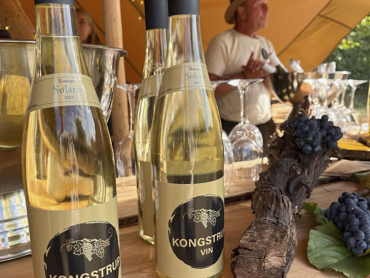 Vinlancering på Kongstrup Vin i påsken