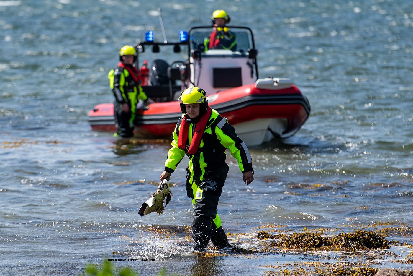 Kajak udløst eftersøgning 