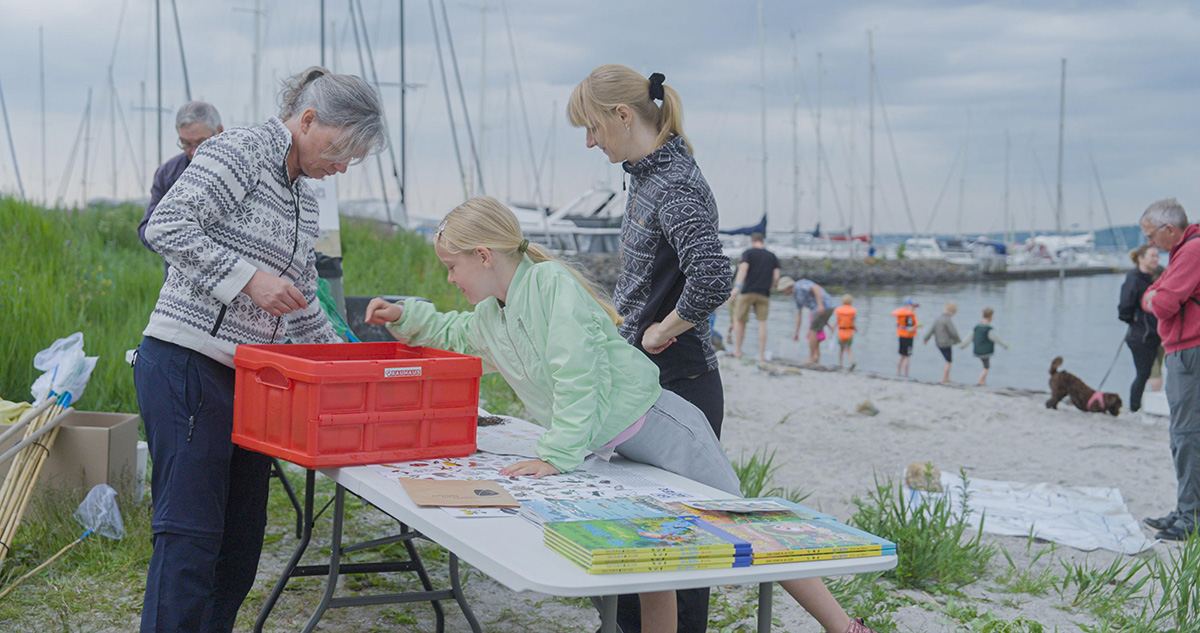 Familiedag ved kysten: Frivillige planter ålegræs ved Gisseløre