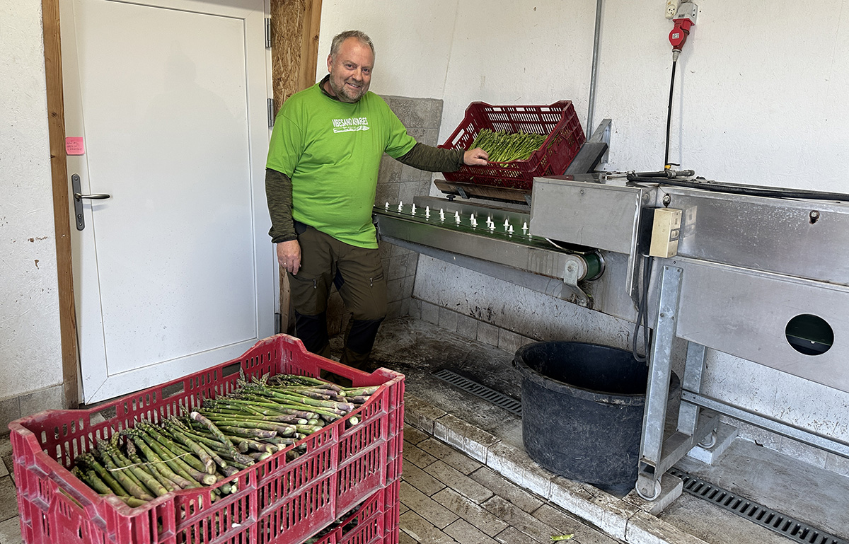 Aspargesens Dag hos Vibesand