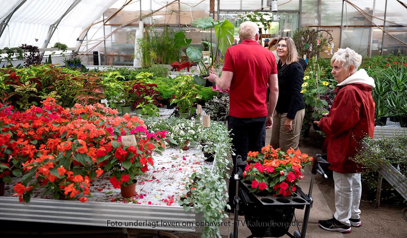 Sommermarked: Blomster, keramik og andre smukke ting