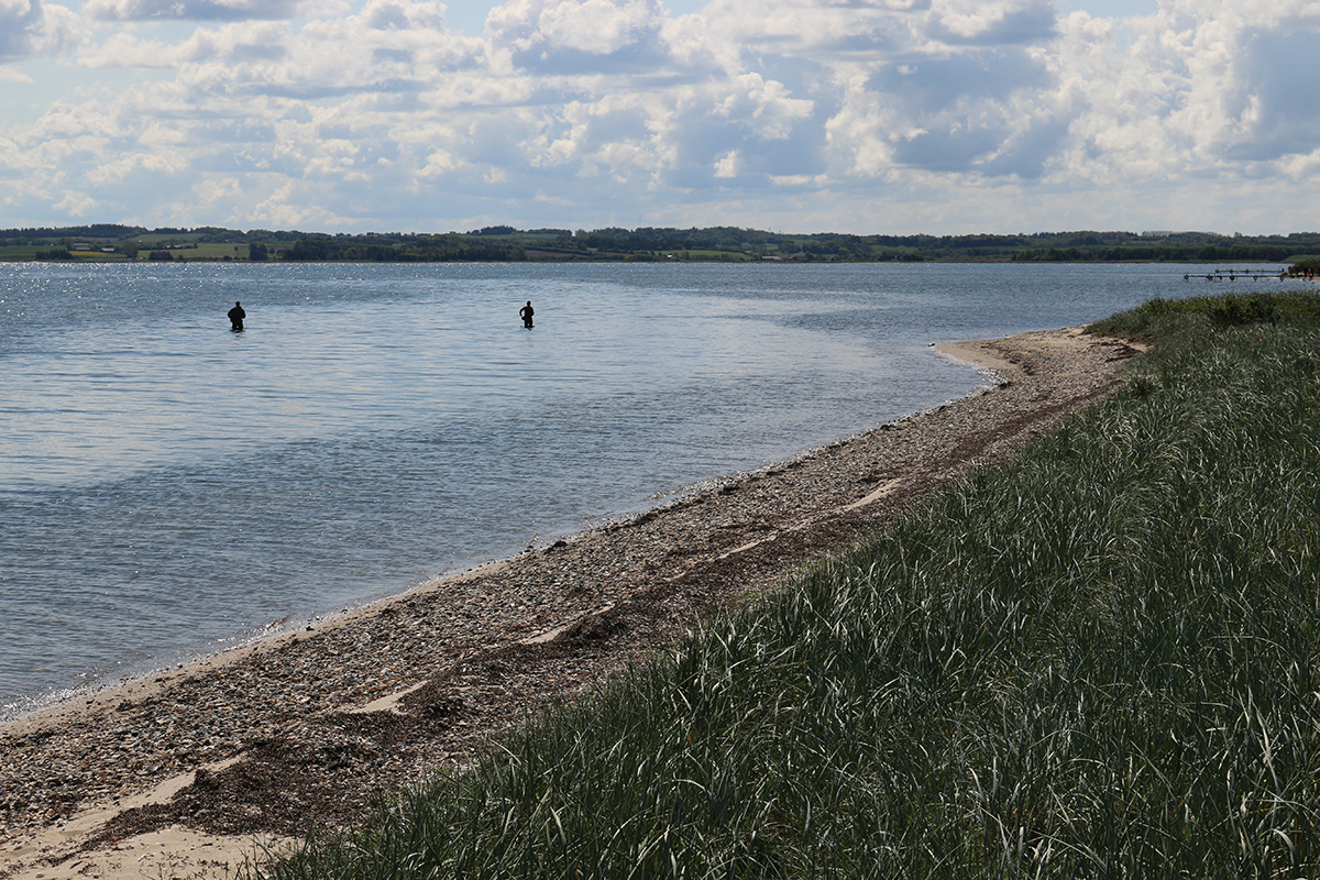 Fiskeri, strandrensning og fællesskab samler familier ved Kalundborgs kyst