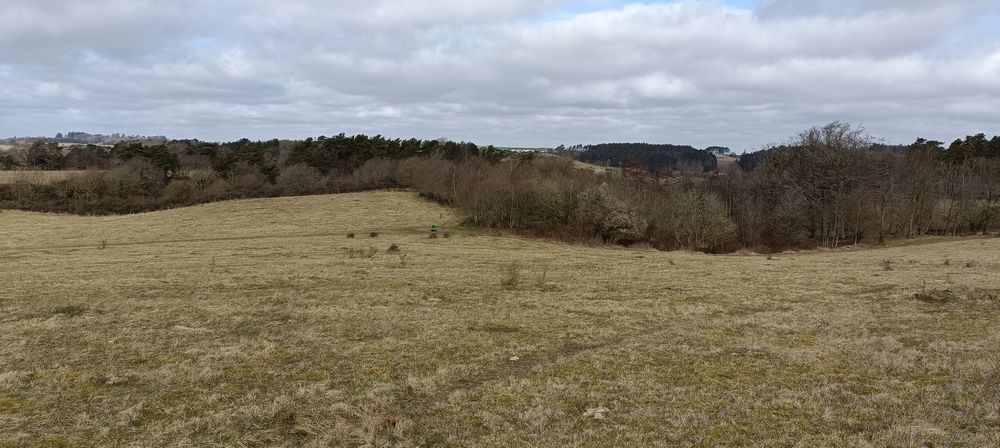 Over 3 mio. kr. på vej til lokale projekter – LAG inviterer til online infomøde