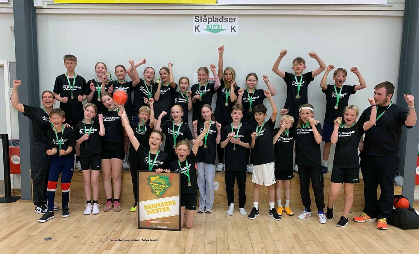 Danske Mestre i Høvdingebold