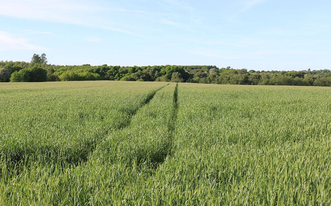 Vælgermøde om landbrug