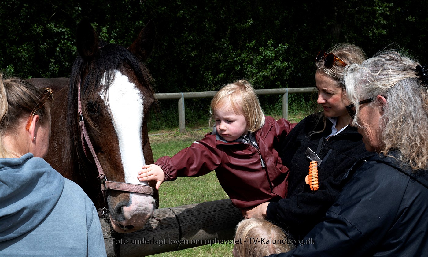 Alt er klar til Hesteskue og Kræmmermarked