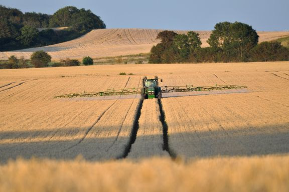 Så meget PFAS-pesticid bliver der indberettet i Kalundborg Kommune