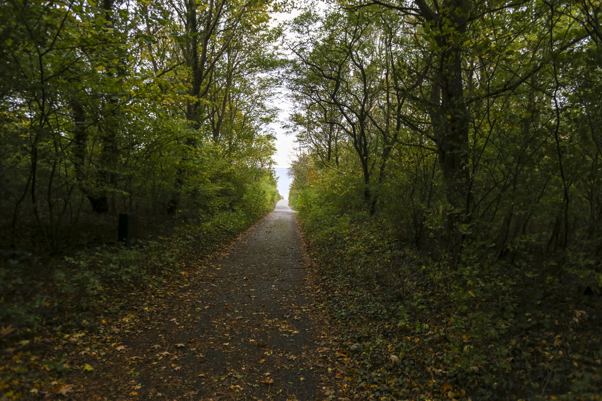 Klintegårdens naturprojekt