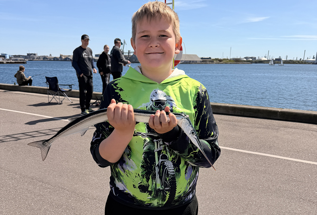 Rekordmange deltog i Hornfiskefestival i Kalundborg