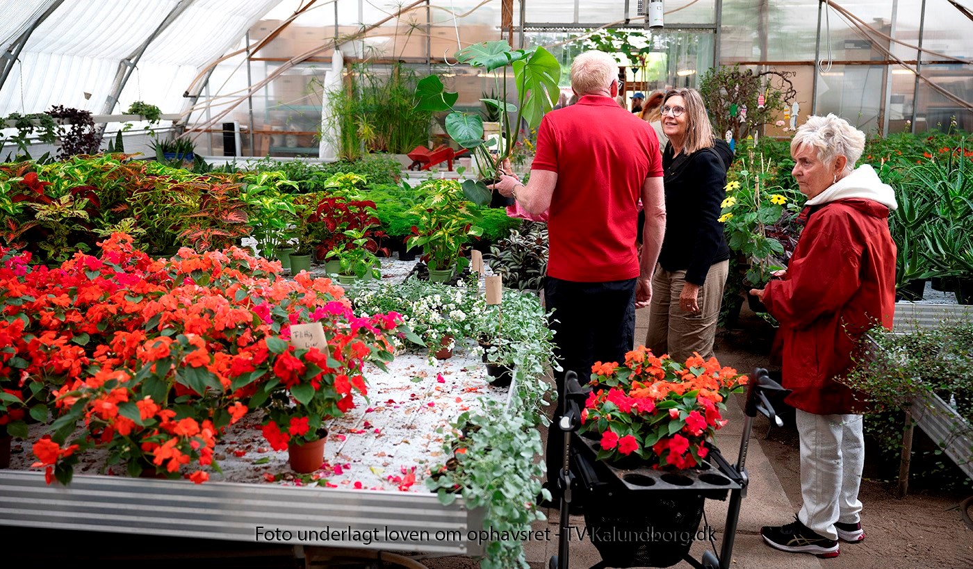 Sommermarked byder på blomster, kunsthåndværk og fællesskab på Stejlhøjhus