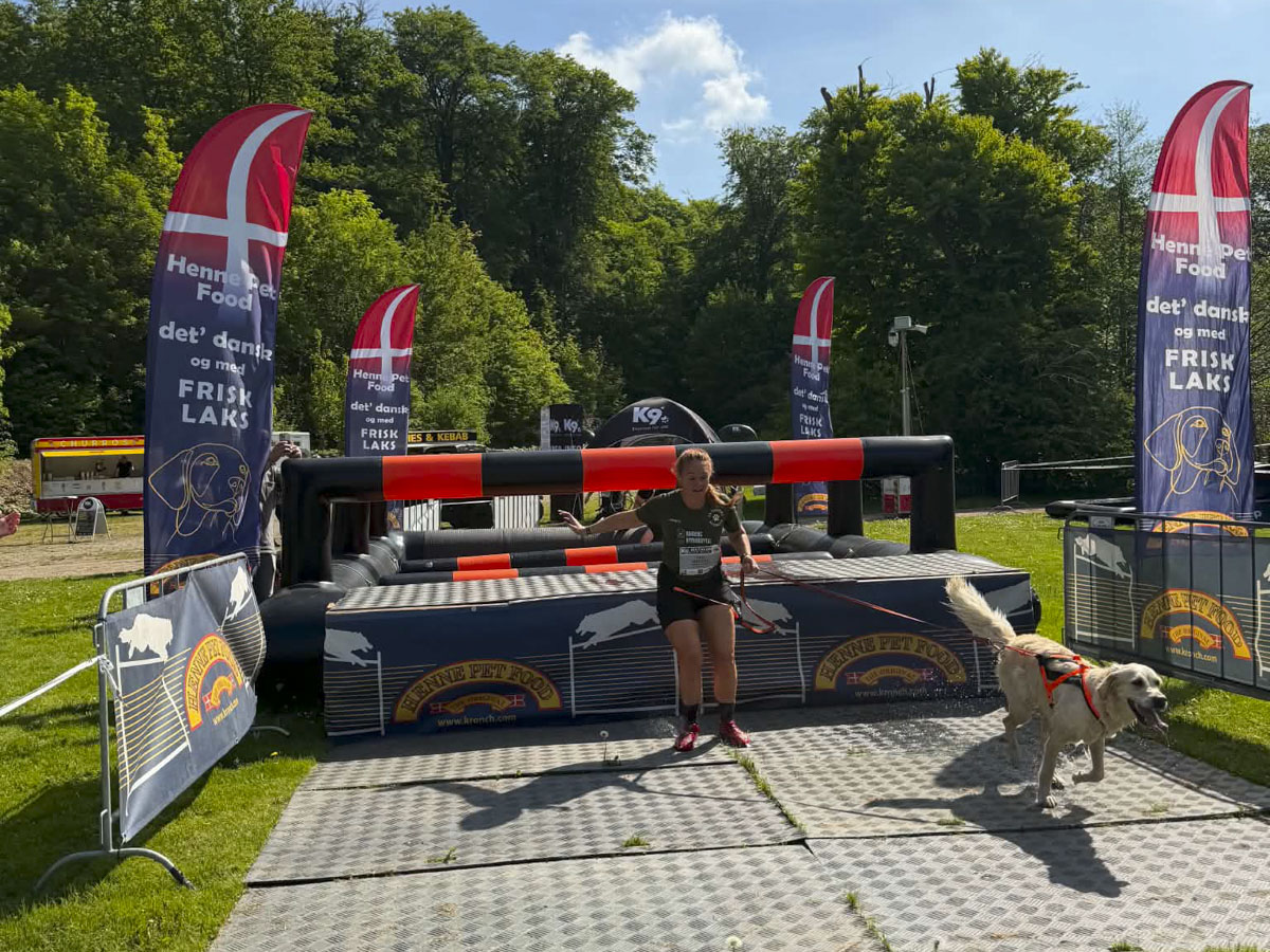 Hundeevent i grusgrav