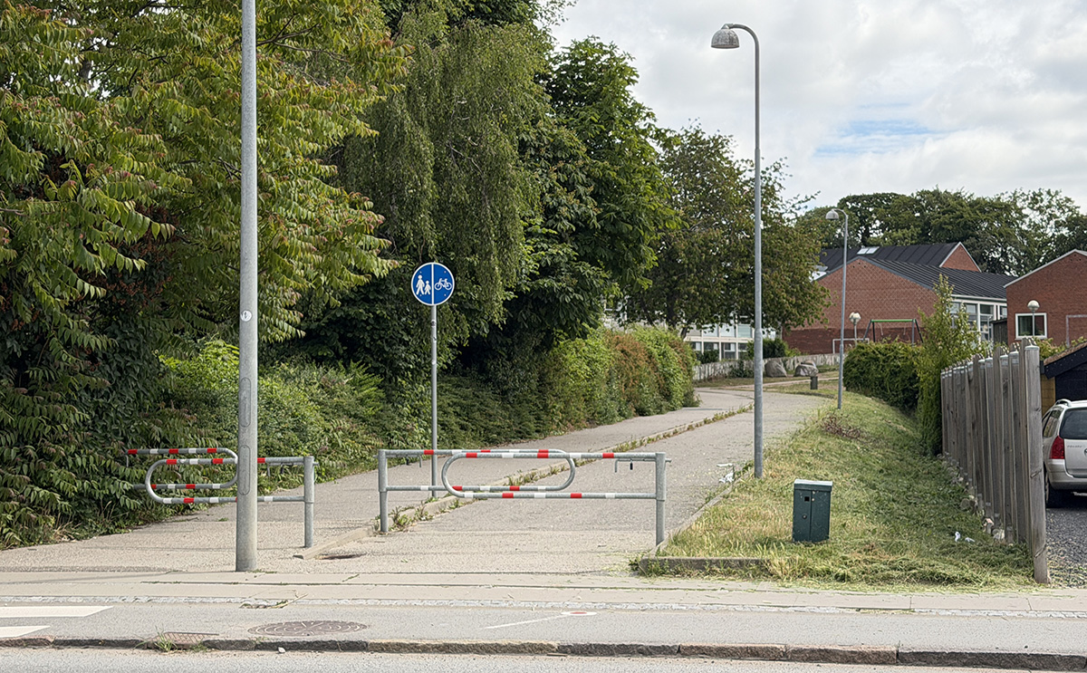 Mellem omsorg og afmagt: Borgere stod alene med opgaven