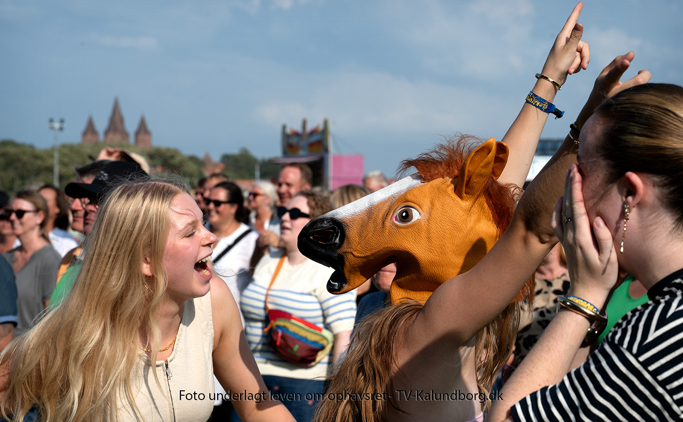 Chefen & Hit-Festen fik fyret op under publikum