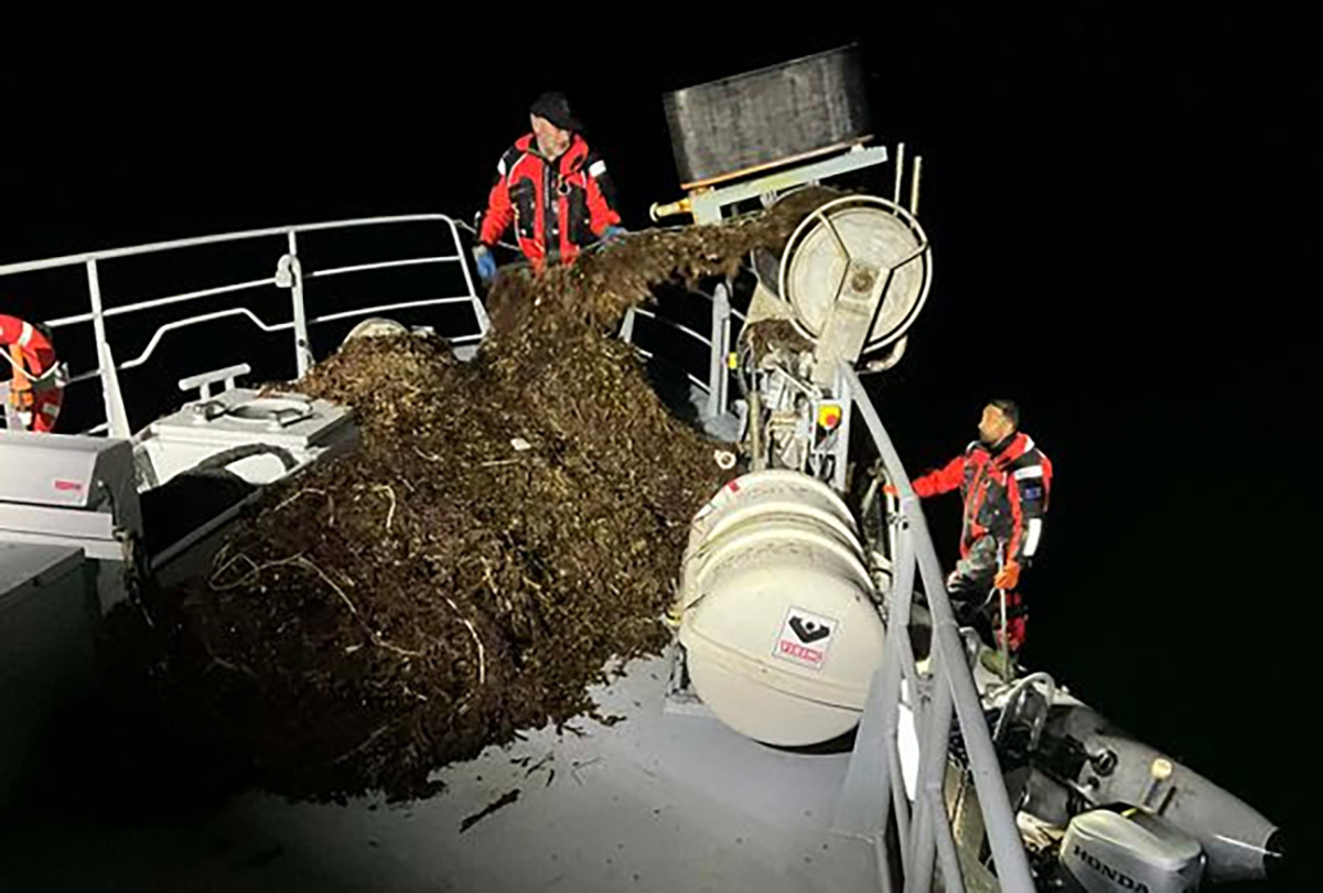 Kæmpe spøgelsesgarn fjernet ud for Reersø