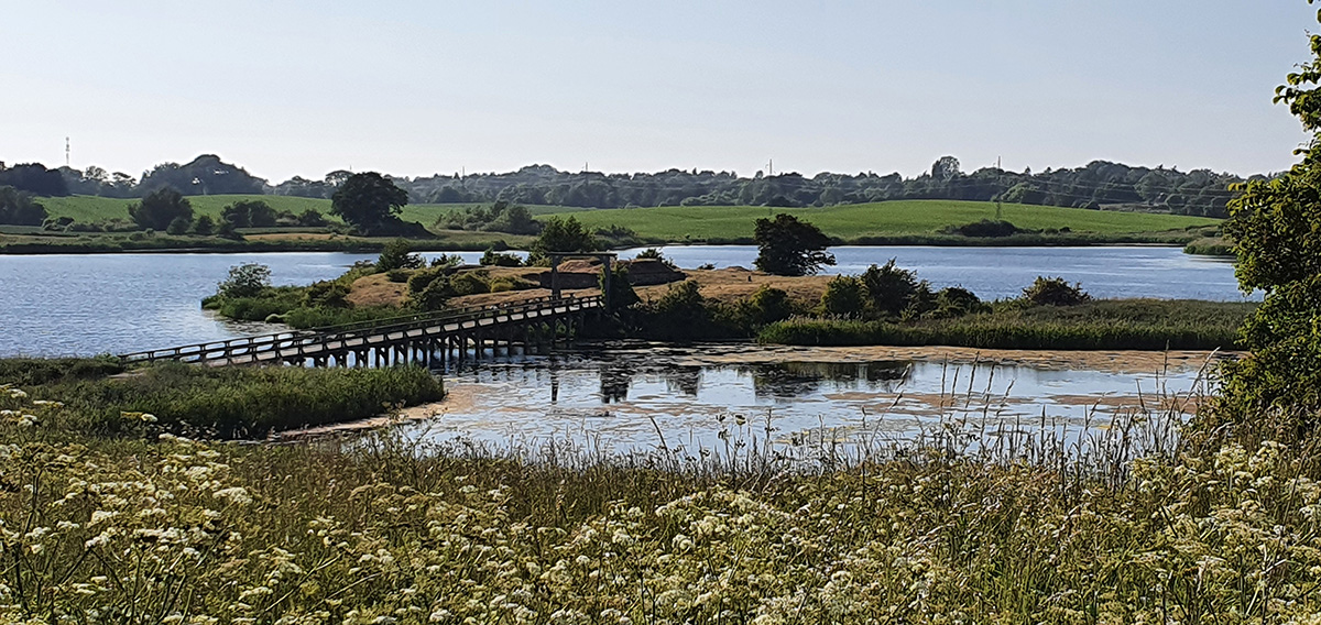 Forsvaret i jernalder og vikingetid 