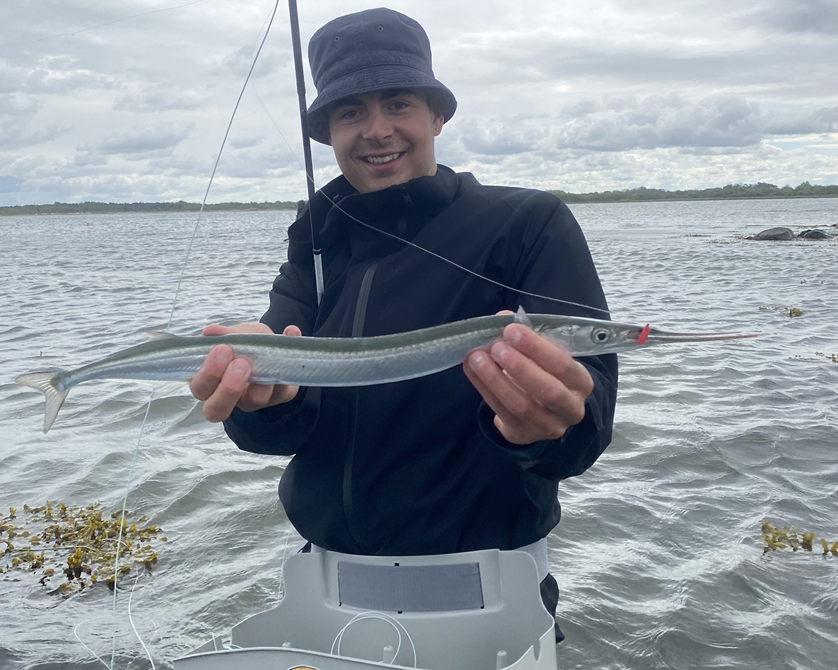 Tørfluefiskeri efter hornfisk ved Vollerup Strand
