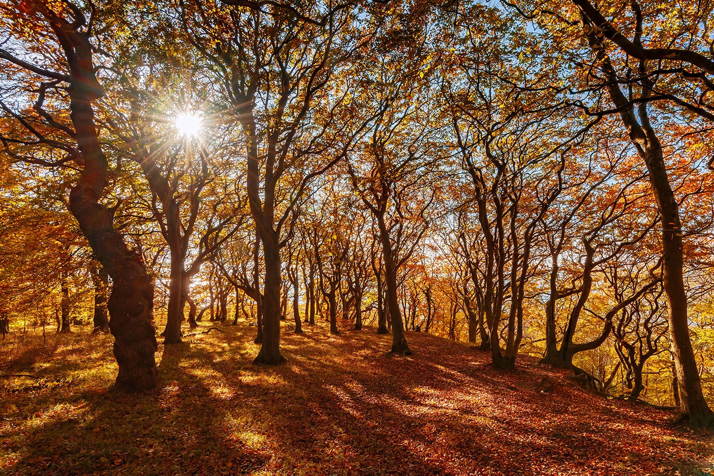 Raklev Folkenatur modtager stor bevilling til nye friluftsfaciliteter