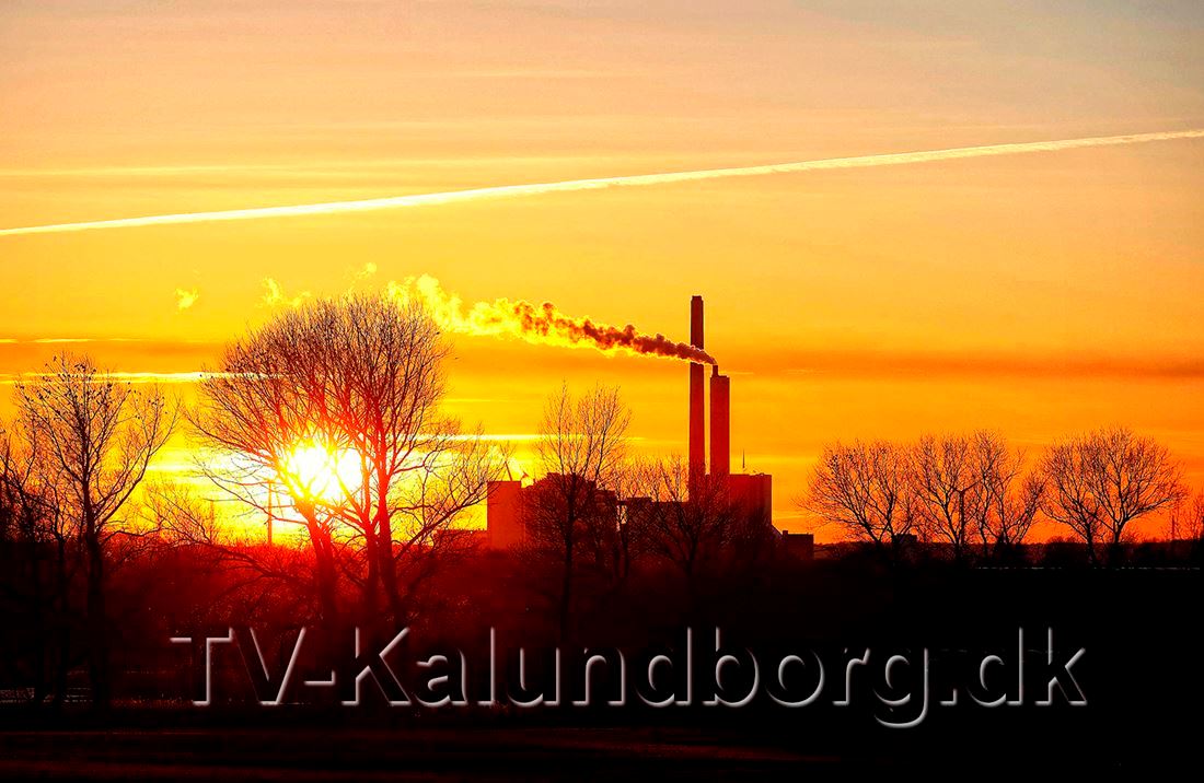 Lokale politikere mangler indsigt i erhvervslivets behov