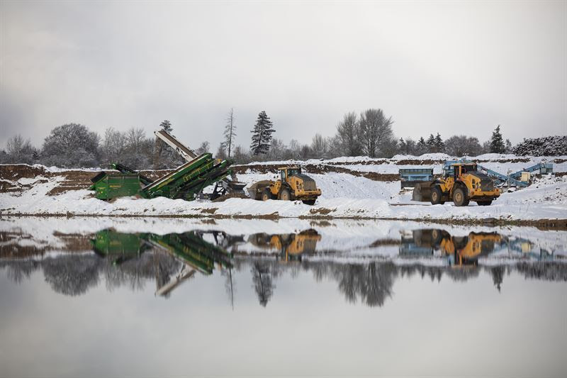 Meget sjældne edderkopper fundet i grusgrav ved Svebølle
