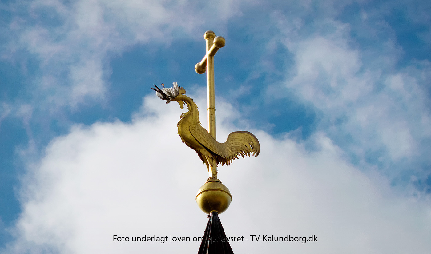 Vejrhanen på Vor Frue Kirke har fanget en måge