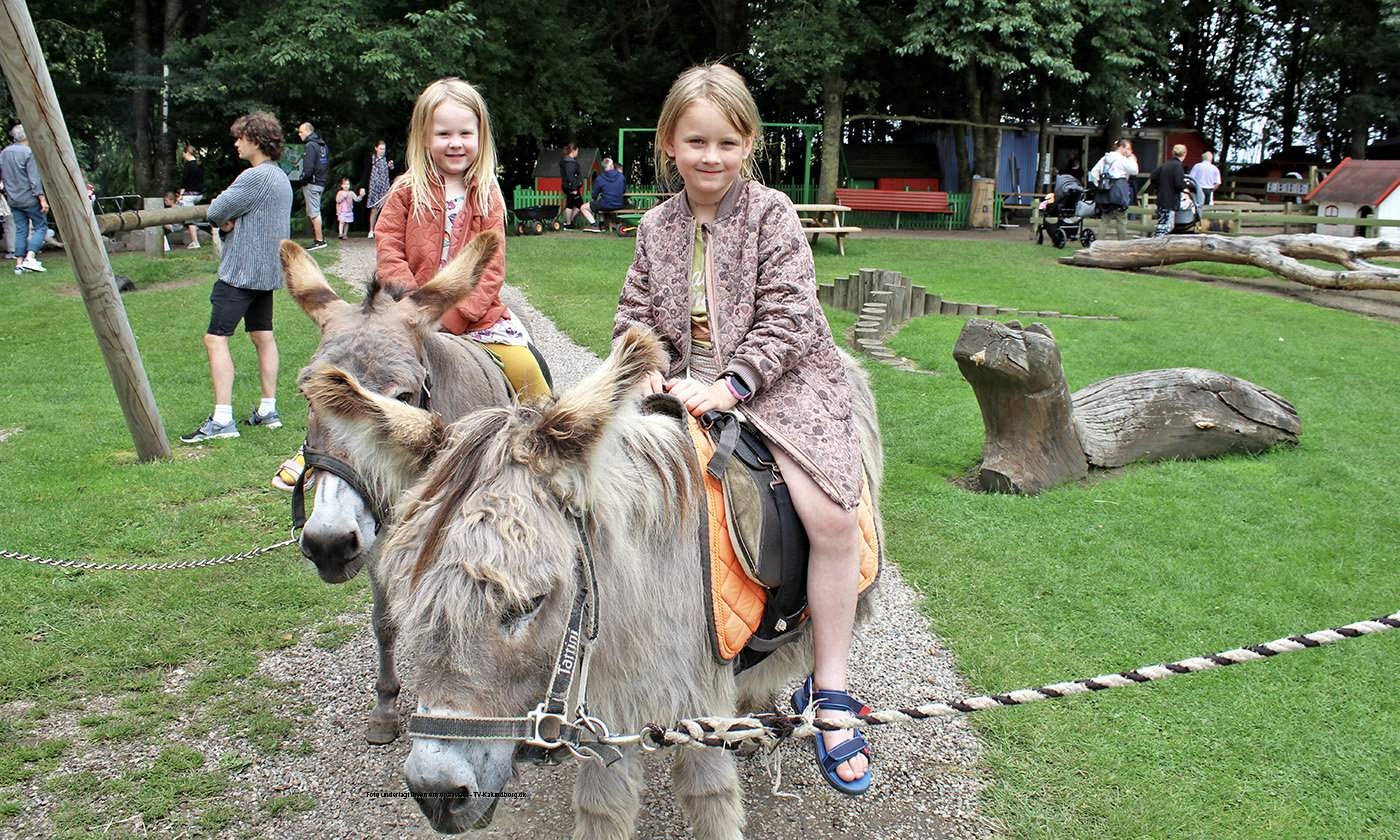 Aktiv sommer i Birkegårdens Haver