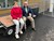 Handicapråd kiggede på tilgængelighed 
