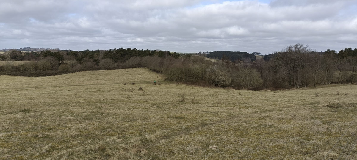 LAG-midler klar til at kommer ud og leve - nu er der infomøde