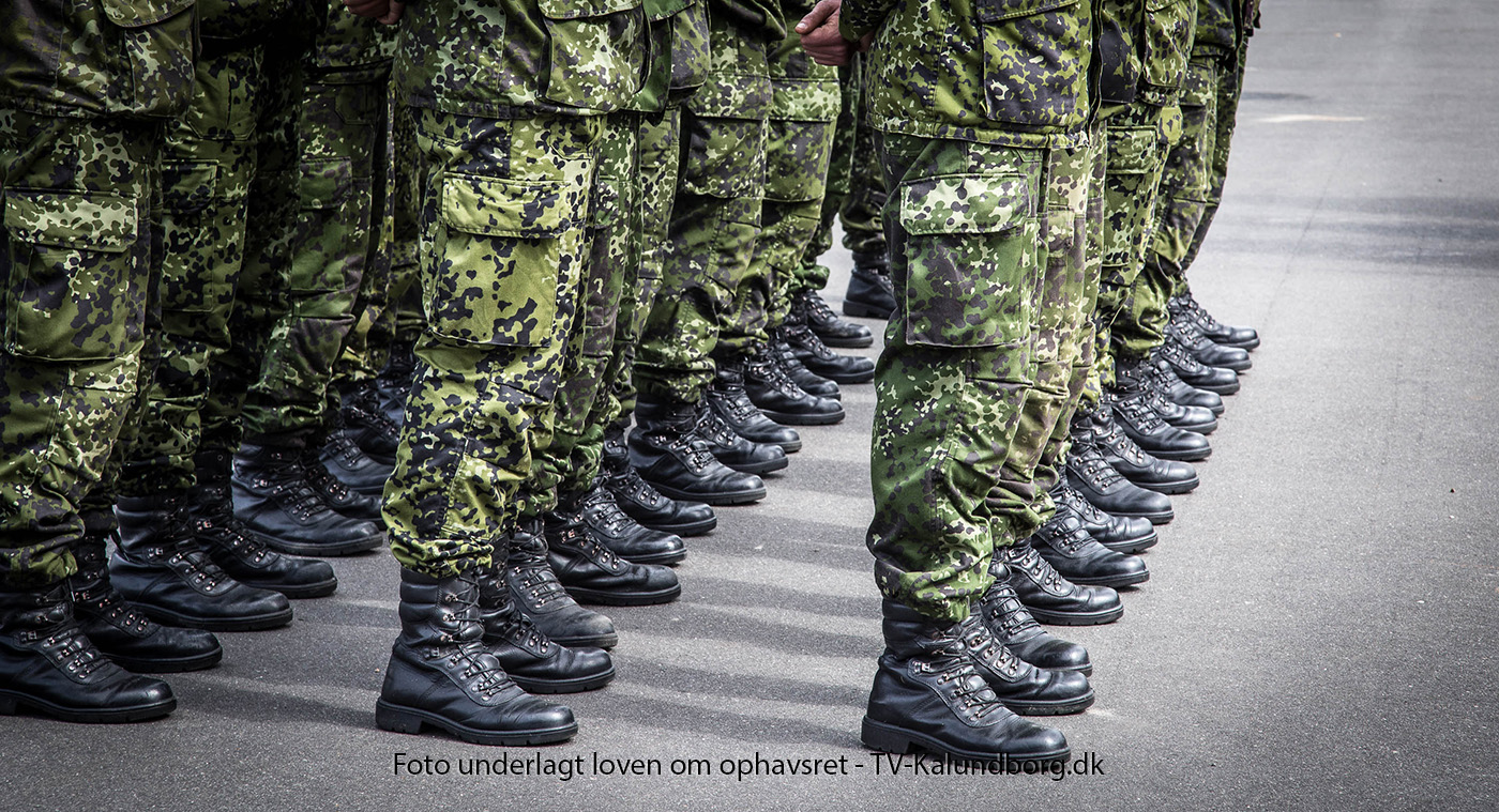 Stor markering af flagdag for udsendte og veteraner