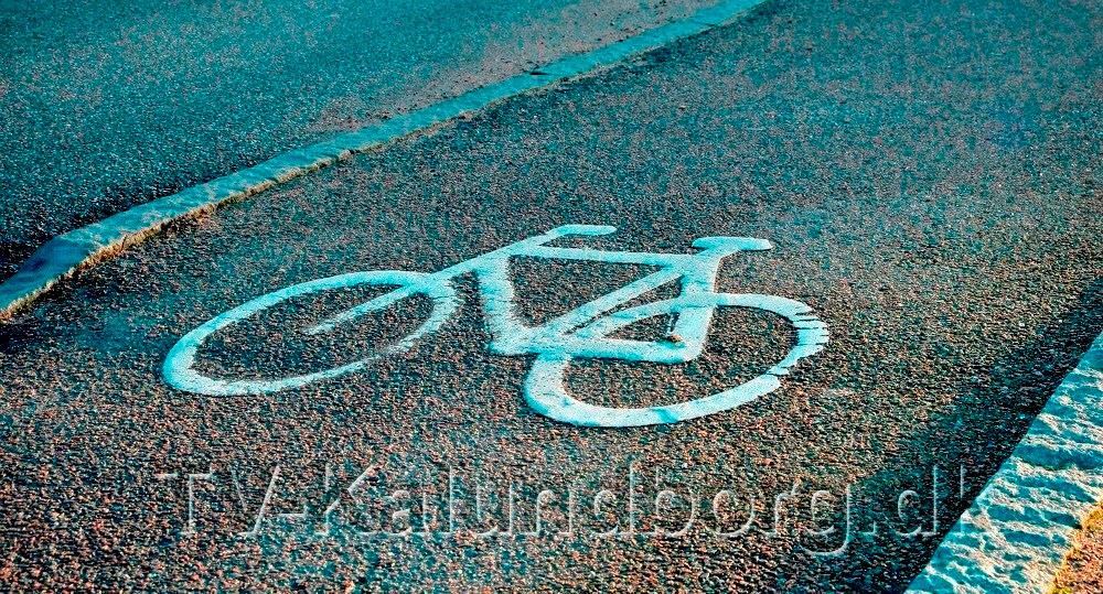 Borgere i oprør: Vi vil have en sikker skolevej