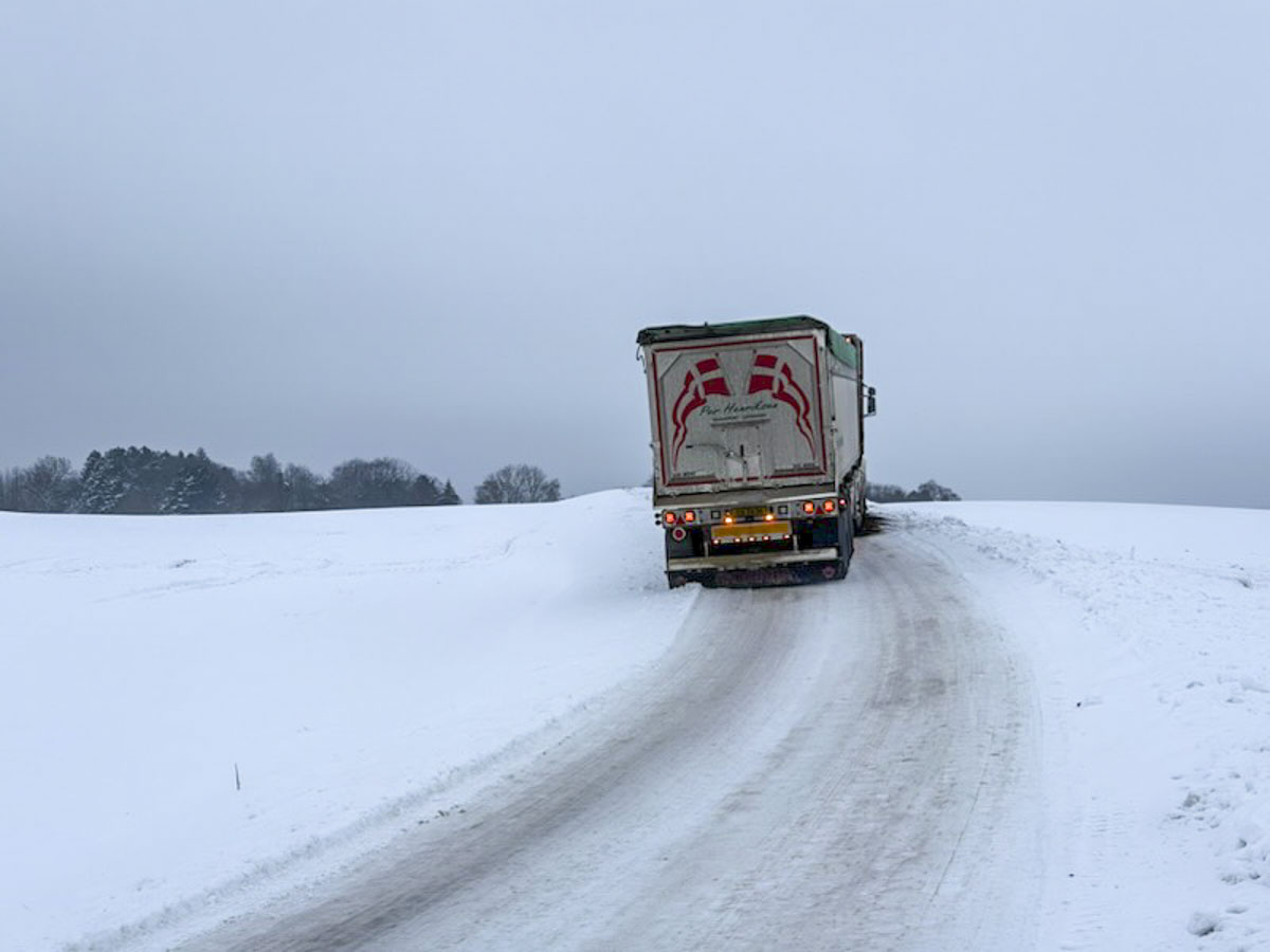 Sneen skaber problemer flere steder