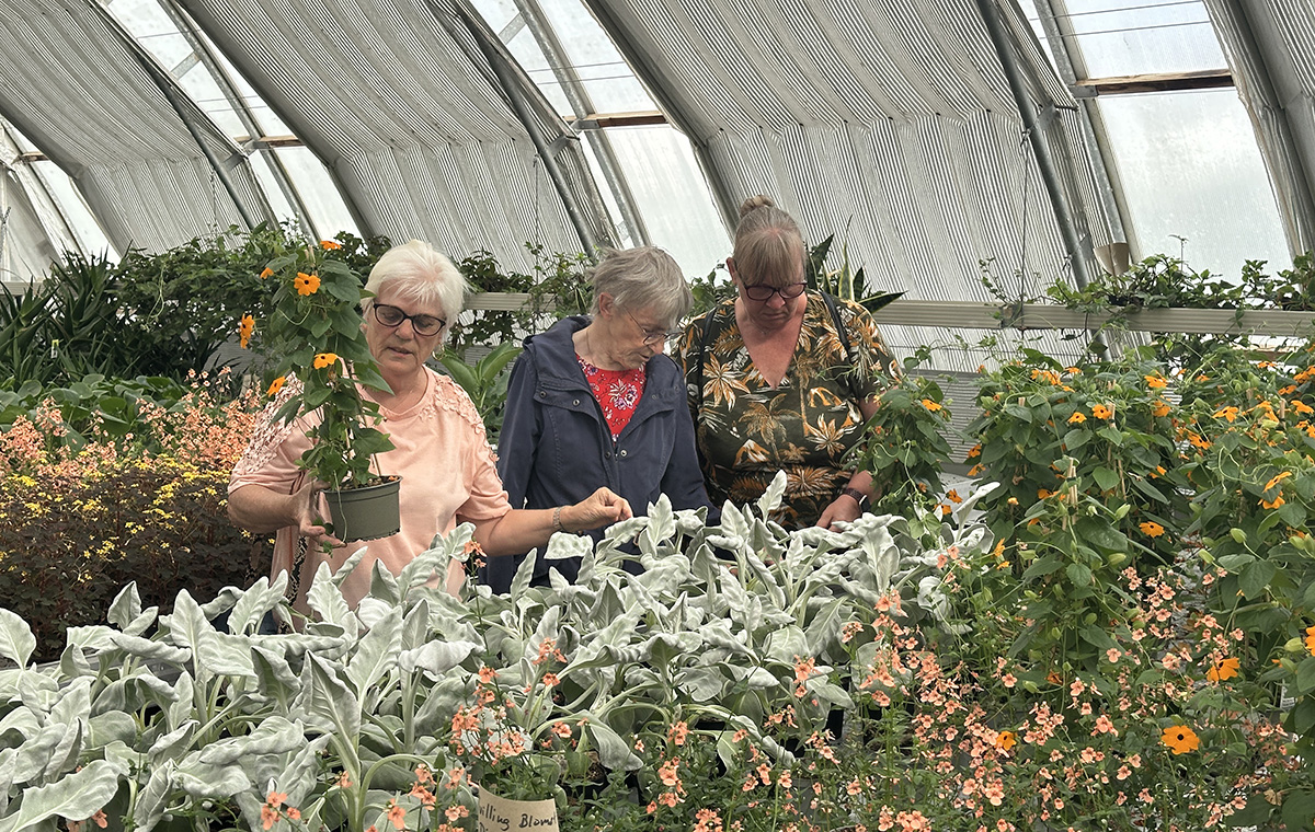 Sommermarked i varme og solskin